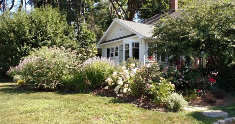 Landscaping Basics for Sustainable Yards